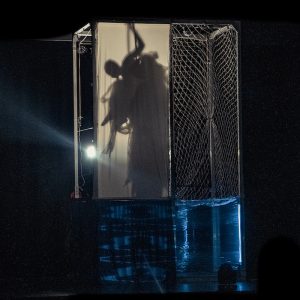 AIRMA-lagosta--web-aurora-jara-Es8