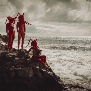 AIRMA-lagosta--web-aurora-jara